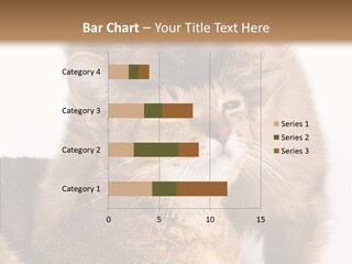 Staring Dreaminess Single PowerPoint Template