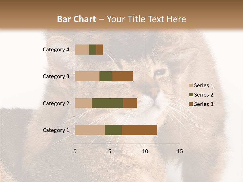 Staring Dreaminess Single PowerPoint Template