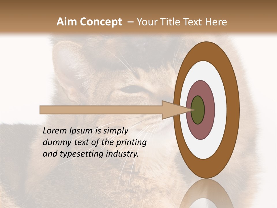 Staring Dreaminess Single PowerPoint Template