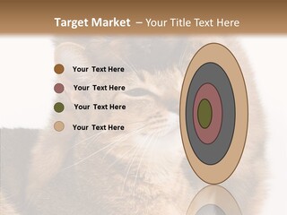 Staring Dreaminess Single PowerPoint Template