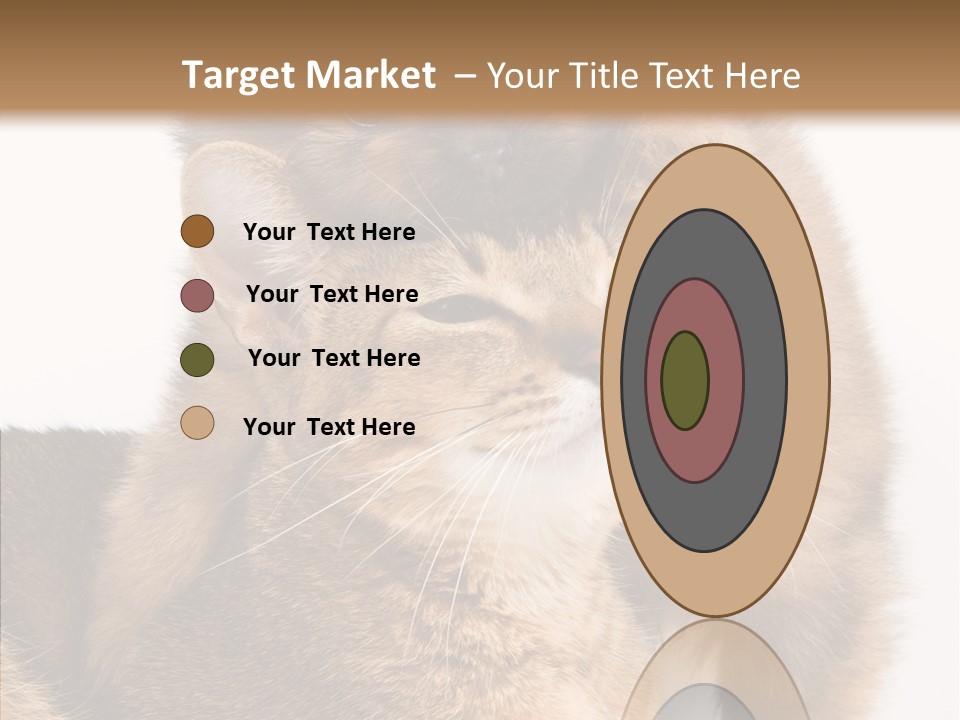 Staring Dreaminess Single PowerPoint Template