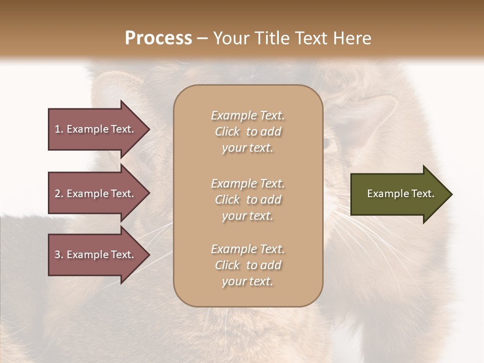 Staring Dreaminess Single PowerPoint Template