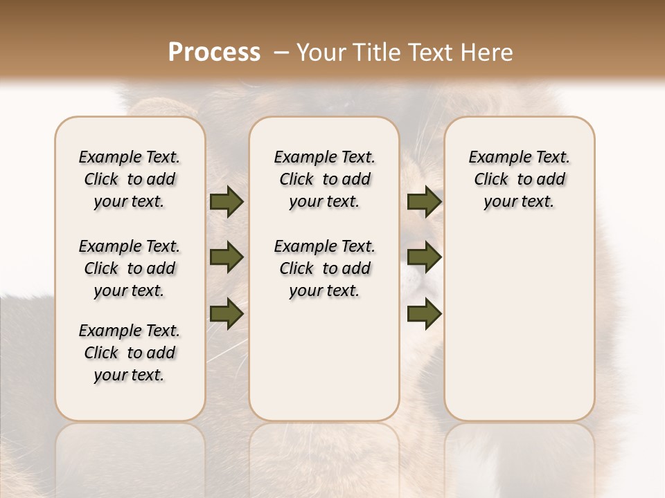 Staring Dreaminess Single PowerPoint Template