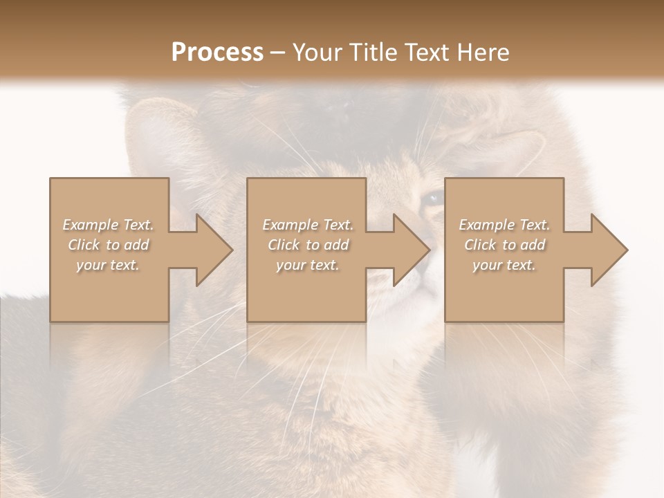 Staring Dreaminess Single PowerPoint Template