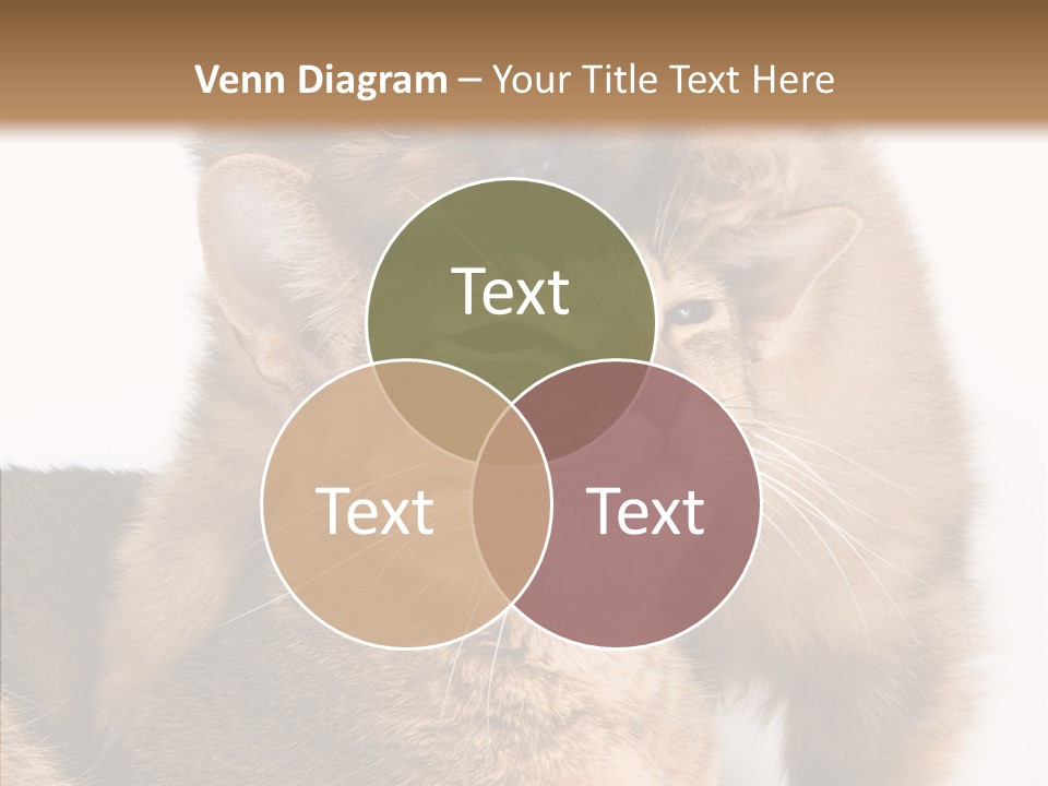 Staring Dreaminess Single PowerPoint Template