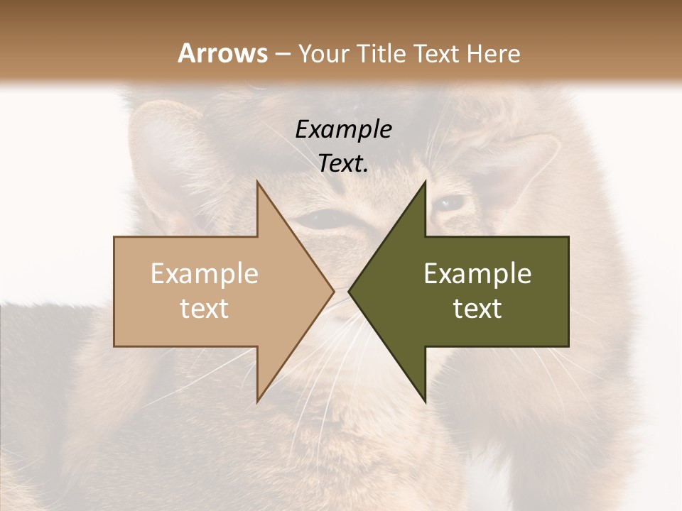 Staring Dreaminess Single PowerPoint Template