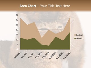 Staring Dreaminess Single PowerPoint Template
