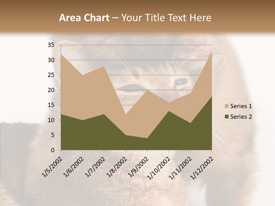 Staring Dreaminess Single PowerPoint Template