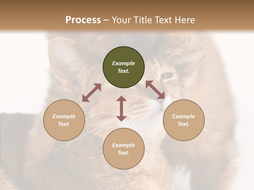 Staring Dreaminess Single PowerPoint Template