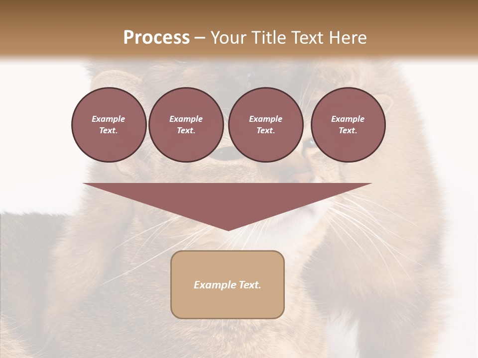 Staring Dreaminess Single PowerPoint Template