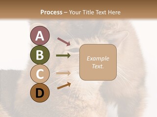Staring Dreaminess Single PowerPoint Template