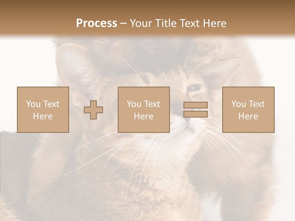 Staring Dreaminess Single PowerPoint Template