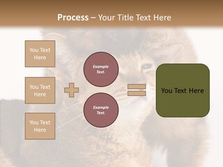 Staring Dreaminess Single PowerPoint Template
