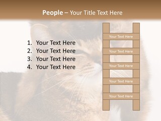 Staring Dreaminess Single PowerPoint Template