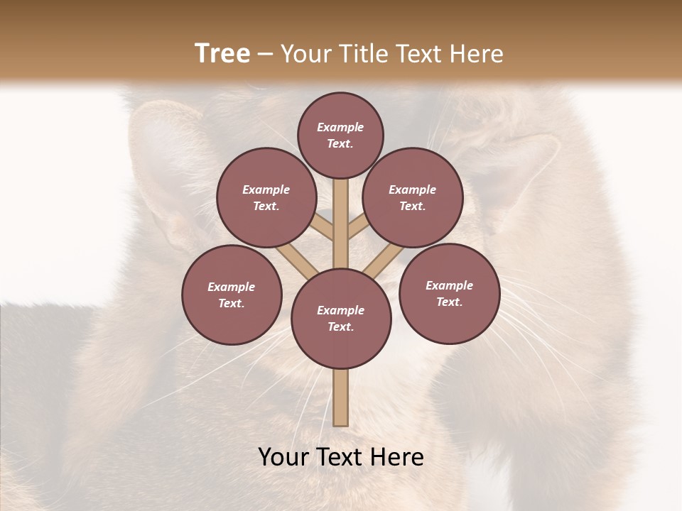 Staring Dreaminess Single PowerPoint Template