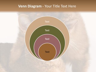 Staring Dreaminess Single PowerPoint Template