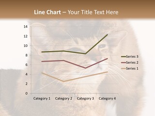 Staring Dreaminess Single PowerPoint Template
