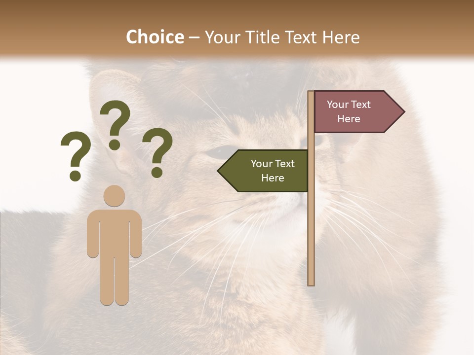 Staring Dreaminess Single PowerPoint Template