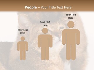 Staring Dreaminess Single PowerPoint Template