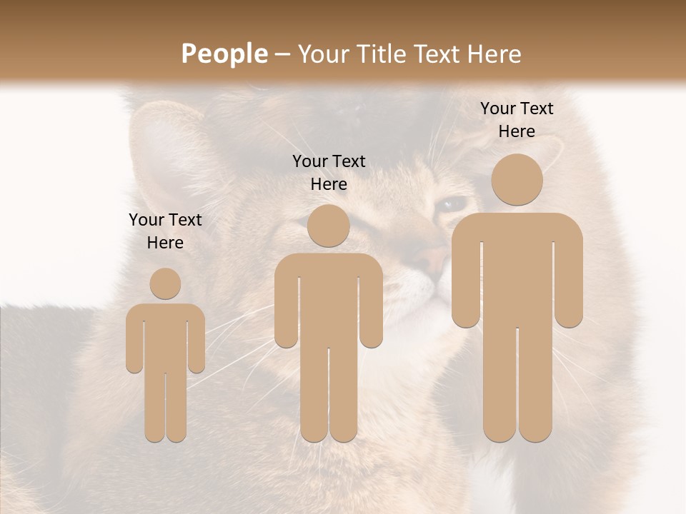 Staring Dreaminess Single PowerPoint Template