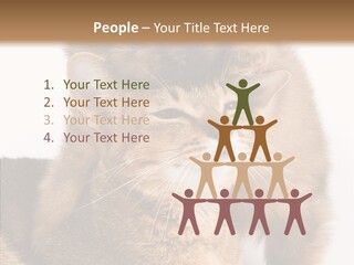 Staring Dreaminess Single PowerPoint Template