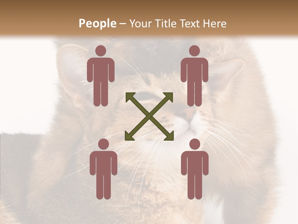 Staring Dreaminess Single PowerPoint Template