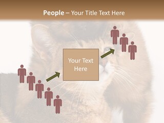 Staring Dreaminess Single PowerPoint Template