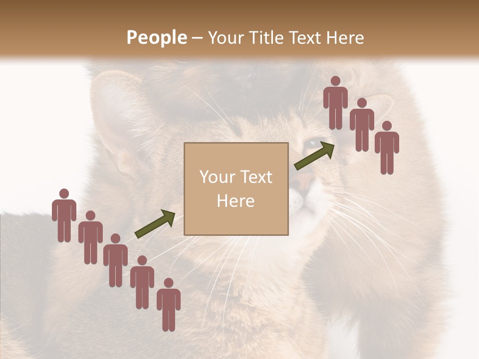 Staring Dreaminess Single PowerPoint Template