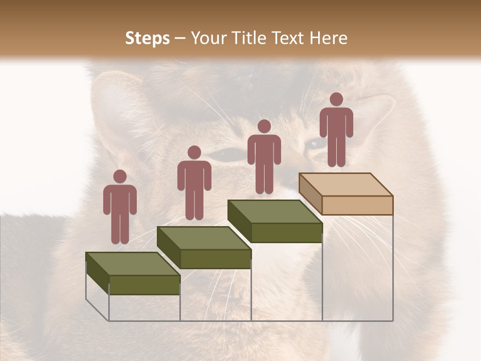 Staring Dreaminess Single PowerPoint Template