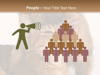 Staring Dreaminess Single PowerPoint Template