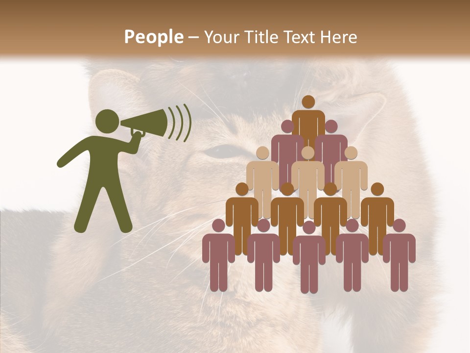 Staring Dreaminess Single PowerPoint Template