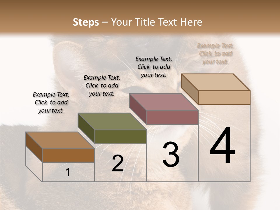 Staring Dreaminess Single PowerPoint Template