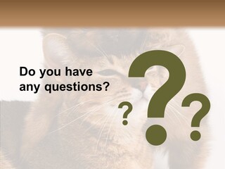 Staring Dreaminess Single PowerPoint Template