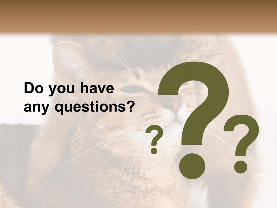 Staring Dreaminess Single PowerPoint Template