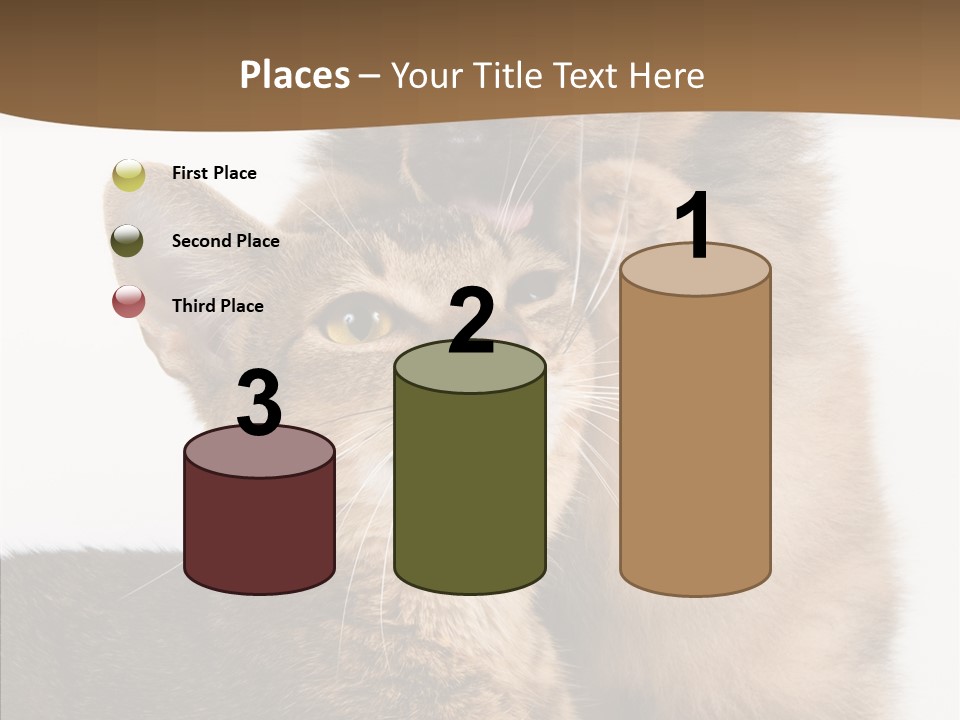 Dreaminess Cat Staring PowerPoint Template