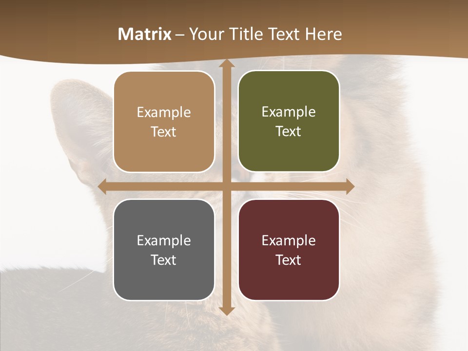 Dreaminess Cat Staring PowerPoint Template