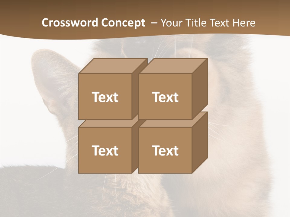 Dreaminess Cat Staring PowerPoint Template