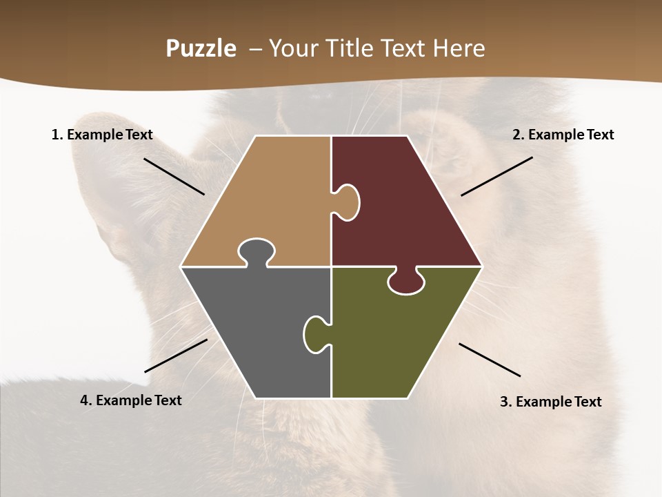 Dreaminess Cat Staring PowerPoint Template