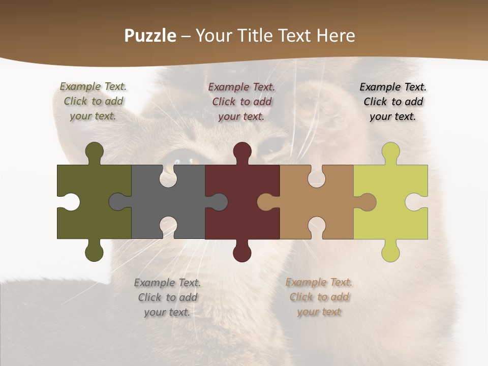 Dreaminess Cat Staring PowerPoint Template