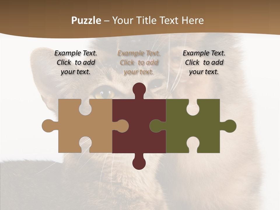 Dreaminess Cat Staring PowerPoint Template