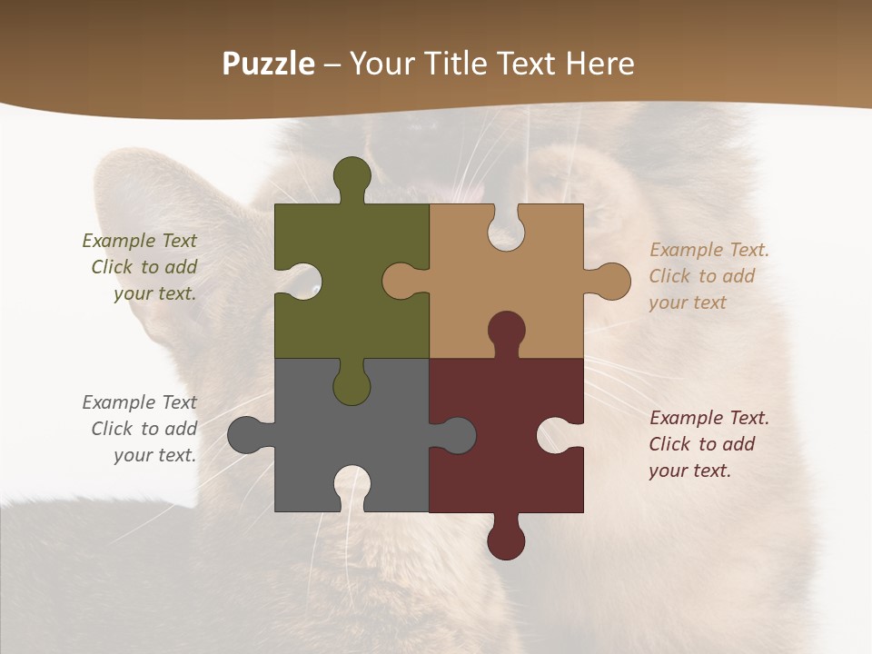 Dreaminess Cat Staring PowerPoint Template