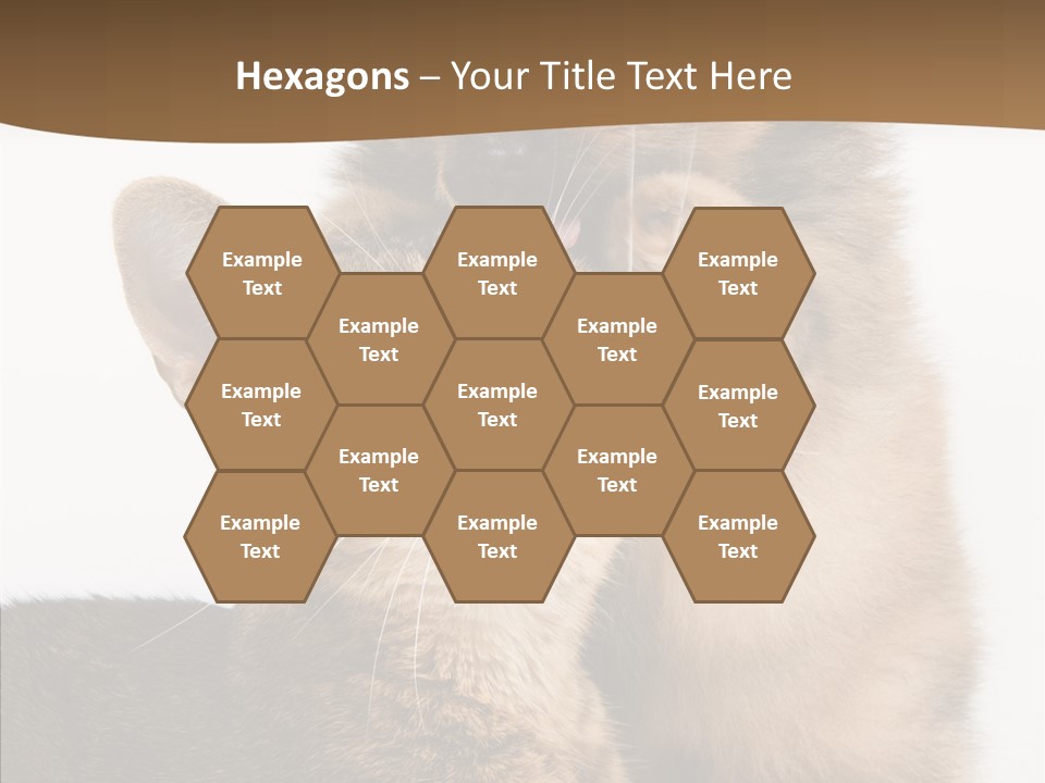 Dreaminess Cat Staring PowerPoint Template