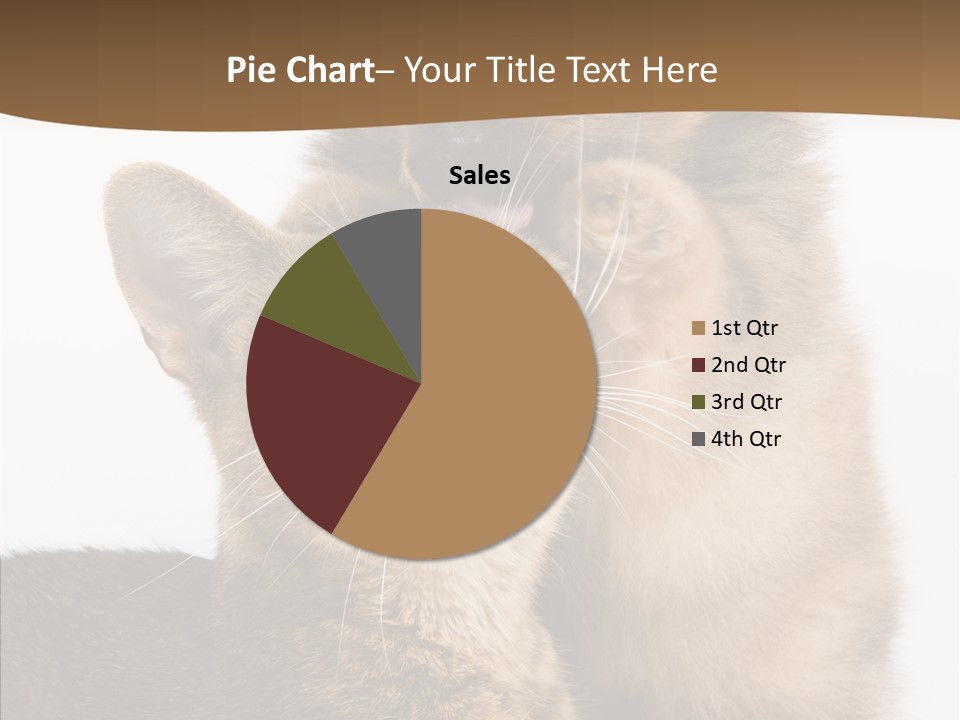 Dreaminess Cat Staring PowerPoint Template