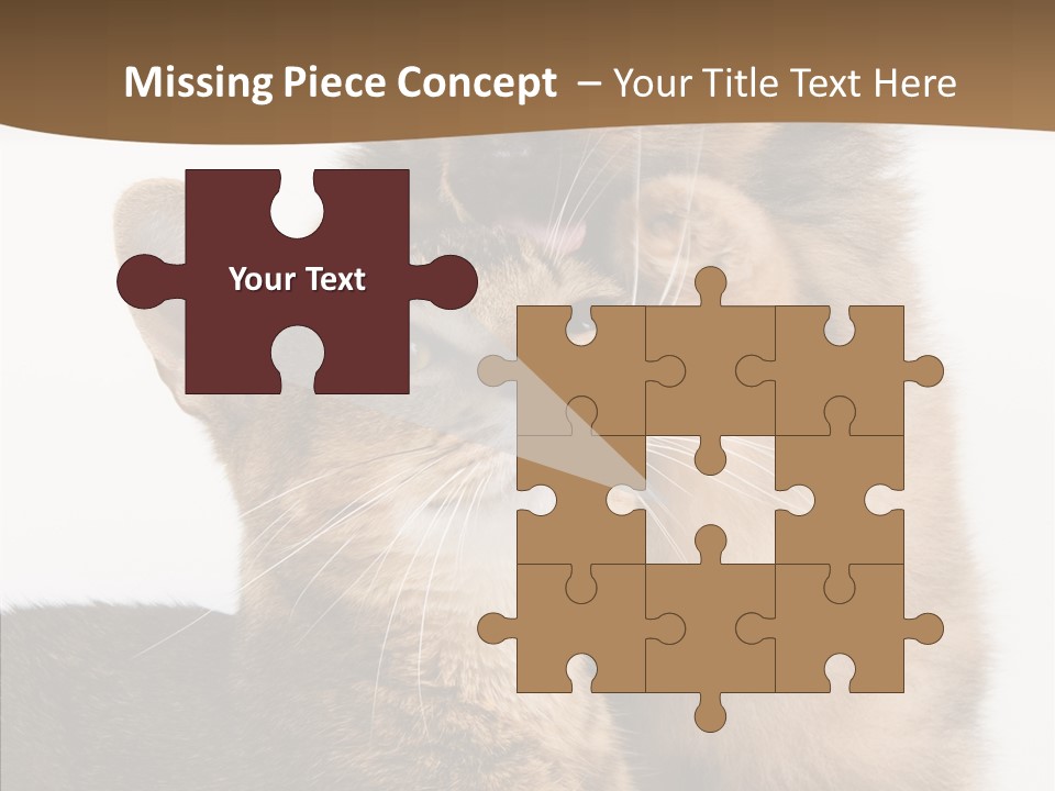 Dreaminess Cat Staring PowerPoint Template