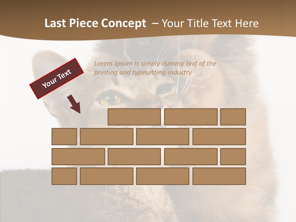 Dreaminess Cat Staring PowerPoint Template