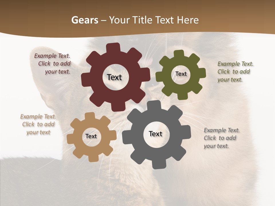 Dreaminess Cat Staring PowerPoint Template