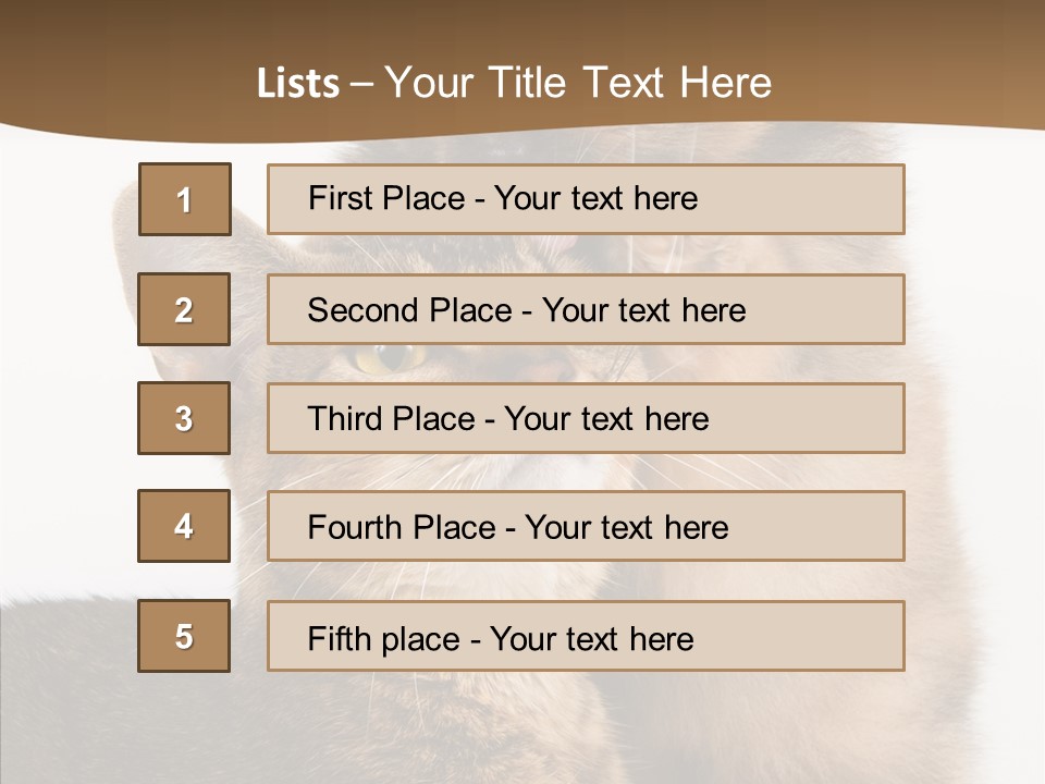Dreaminess Cat Staring PowerPoint Template