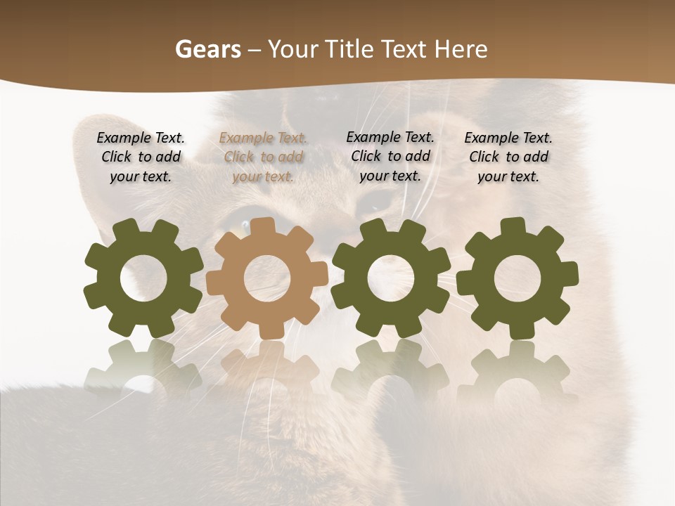 Dreaminess Cat Staring PowerPoint Template