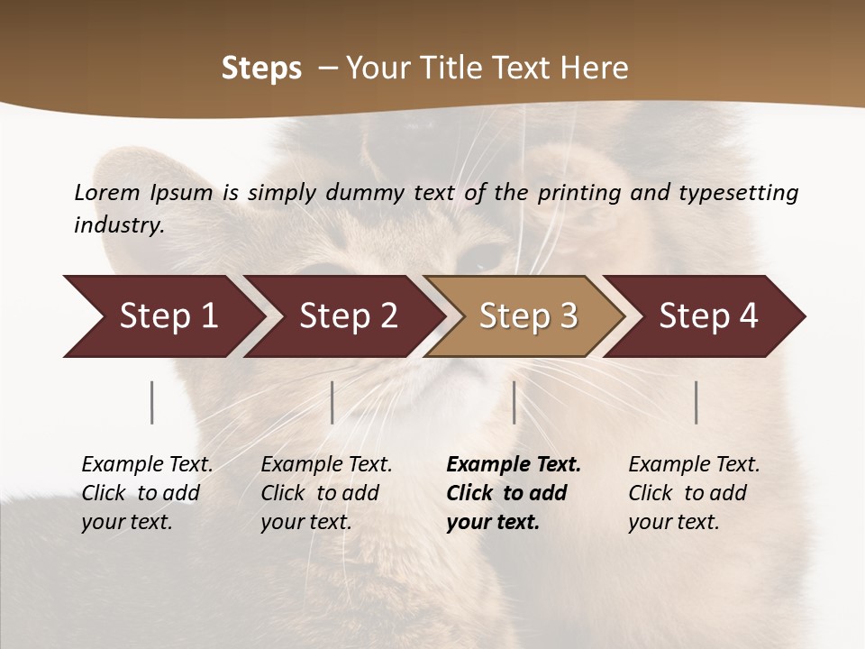 Dreaminess Cat Staring PowerPoint Template