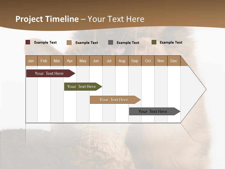 Dreaminess Cat Staring PowerPoint Template